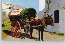50638111 - Typischer Eselswagen - Sonstige & Ohne Zuordnung