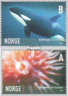 Norwegen 1544-1545 (kompl.Ausg.) Postfrisch 2005 Meerestiere - Neufs
