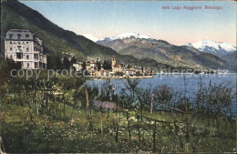 11747416 Brissago TI Lago Maggiore Brissago - Sonstige & Ohne Zuordnung