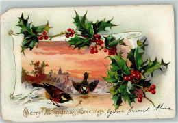 39170911 - Raphael Tuck Holly Postcards  Merry Christmas  Voegel Stechpalme Lithographie AK - Sonstige & Ohne Zuordnung