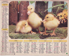 Calendrier France 1976 Devise Trembler Et Detaler Canards Lapins - Grand Format : 1971-80