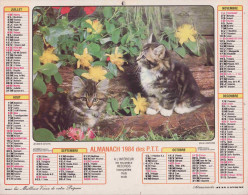 Calendrier France 1984 Jeune Chien Jeunes Chats - Tamaño Grande : 1981-90