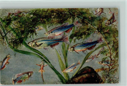 13021711 - Fische Sign Bessiger  -Danio Albolineatus - Fish & Shellfish