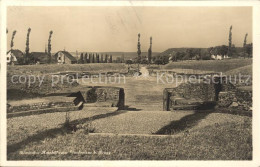 11745317 Brugg AG Roemisches Amphitheater Vindonissa Brugg AG - Other & Unclassified