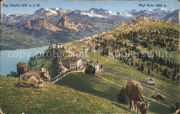 11741696 Rigi-Staffel Und Kulm Panorama Rigi Staffel - Sonstige & Ohne Zuordnung