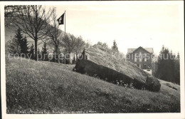 11741657 Rigi-Seebodenalp Hotel Und Pension  Kuessnacht - Sonstige & Ohne Zuordnung