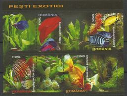 Romania  2005  Exotic  Fish Sheet  MNH - Poissons