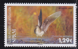 SPM 2024 - Oiseau Limicole : Le Chevallier Solitaire - Ungebraucht