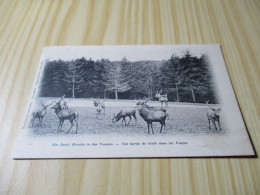 CPA Une Harde De Cerfs Dans Les Vosges (88). - Sonstige & Ohne Zuordnung