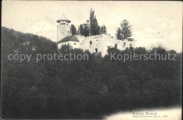 11738917 Birseck Schloss  Arlesheim - Autres & Non Classés