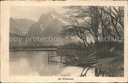 11737617 Walensee Ufer Walensee - Sonstige & Ohne Zuordnung