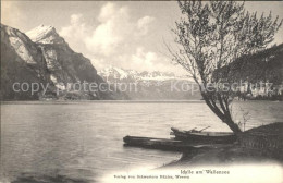 11737606 Wallensee See Boote Berge Walenstadt - Andere & Zonder Classificatie