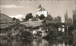 11737566 Werdenberg Schloss Werdenberg - Autres & Non Classés