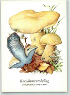 39806511 - Kornblumenroehrling + Insekten Zeichnung Von Gerhard Schmidt  Planet Verlag - Autres & Non Classés