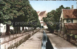 11735877 Porrentruy Allee Des Soupirs Porrentruy - Other & Unclassified