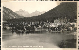 11733187 Champex-Lac Lac Champex Tour Sallieres Et Dent Du Midi Champex-Lac - Other & Unclassified