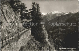 11729087 Stanserhorn Felsenweg Stanserhorn - Sonstige & Ohne Zuordnung