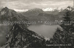 11728796 Buergenstock Kaenzeli Mit Alpenblick Buergenstock - Sonstige & Ohne Zuordnung