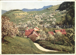 11727346 Waldenburg BL Panorama Baumbluete Schweizer Wanderkalender 1959 Waldenb - Autres & Non Classés