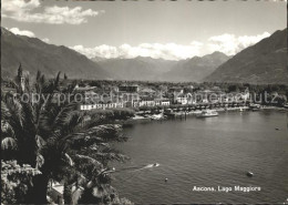 11727106 Ascona TI Panorama Mit Alpen Ascona - Sonstige & Ohne Zuordnung