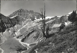 11715877 Trinserhorn Mit Sardonagebirge Trinserhorn - Autres & Non Classés