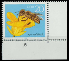 DDR 1990 Nr 3297 Postfrisch ECKE-URE X0E42AA - Unused Stamps