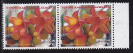 Madagascar 2014 - Fleur : Hildegardia Ankaranensis - Madagascar (1960-...)