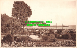 R499737 Tor Abbey Gardens. Torquay. 24318. 1951 - Monde