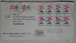 Argentine - Enveloppe Circulée Avec Timbres Sur Le Thème Des Fleurs (1982) - Gebruikt