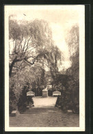 AK Hamburg-Altona, Gartenbau-Ausstellung 1914, Gruppe Im Friedhof  - Expositions