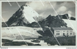 Bf41 Cartolina Gruppo Dell'ortier Rifugio Casati Verso Gran Zebru - Bolzano (Bozen)