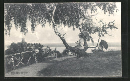 AK Hamburg-Blankenese, Wegpartie, Blick Zur Elbe  - Blankenese