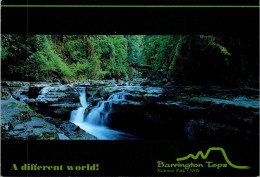 17-5-2024 (5 Z 21) Australia - NSW - (posted With Roses Stamp) Barrington Tops National Park - Otros & Sin Clasificación