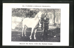 AK Kuriosa, Pferd, El Famoso Caballo Mascota, The Horse With The Human Brain  - Chevaux