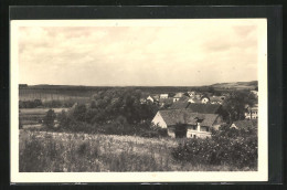 AK Vlkov, Blick Auf Ort Und Hopfenpflanzungen  - Czech Republic