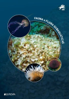 Portugal & PGSB Europa CEPT, Underwater Fauna And Flora 2024 (687688) - Vie Marine