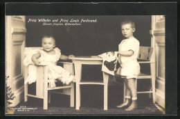 AK Prinz Wilhelm Und Prinz Louis Ferdinand  - Koninklijke Families