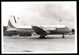 Fotografie Flugzeug Avro 748, Niederdecker Passagierflugzeug Liat The Caribbean Airline, Kennung VP-LAZ  - Aviation