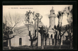 CPA Tizi-Ouzou, Mosquée Lalla Demamaya  - Algerien
