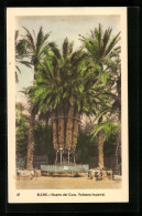 Postal Elche, Huerto Del Cura, Palmera Imperial  - Autres & Non Classés