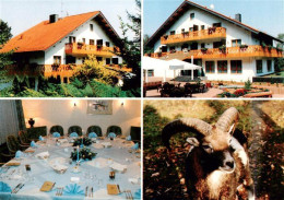 73946662 Meisdorf_Falkenstein_Harz Hotel Forsthaus Restaurant Mufflonwild - Other & Unclassified