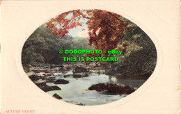 R501000 Autumn Glory. Postcard - Monde