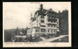 AK Freudenstadt, Blick Auf Das Hotel Waldlust Auf Dem Berg  - Freudenstadt