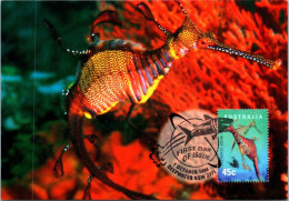 17-5-2024 (5 Z 25) Australia - Weedy Seadragon - Maximum Cards