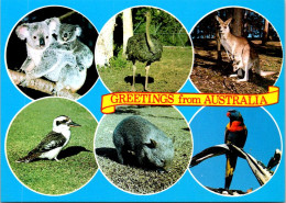 17-5-2024 (5 Z 25) Greetings From Australia - Sonstige & Ohne Zuordnung