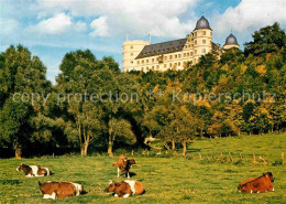 72663721 Weselsburg Bueren Bergschloss Viehweide Kuehe Weselsburg Bueren - Sonstige & Ohne Zuordnung