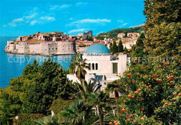 72663463 Dubrovnik Ragusa Altstadt Festung Orangenbaeume Dubrovnik - Croatie