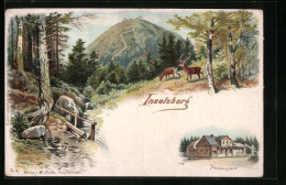 Lithographie Inselsberg, Wald Mit Hirschen Und Heuberghaus  - Other & Unclassified