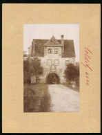 Fotografie Brück & Sohn Meissen, Ansicht Colditz I. Sa., Blick Auf Den Eingang Zum Tiergarten Von Zschirla  - Places