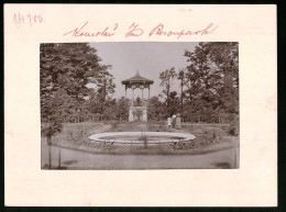 Fotografie Brück & Sohn Meissen, Ansicht Komotau, Pavillon Mit Brunnen Im Rosenpark  - Places